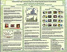 PHOTO: poster snapshot