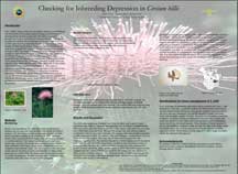 PHOTO: poster snapshot
