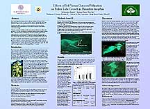 PHOTO: poster snapshot