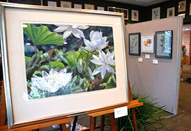 PHOTO: 2007 Botanical Art Show