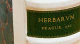 PHOTO: Harry Potter�s Herbology
