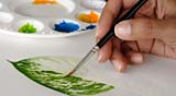 PHOTO: Beginning Watercolor