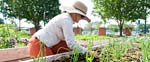 Horticulture