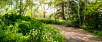 Ecology and Nature Studies