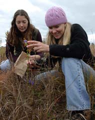 PHOTO: Northwestern student with plant