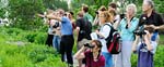 Field Walks