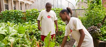 PHOTO: school garden