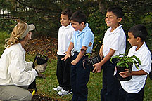PHOTO: little gardeners