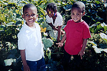 PHOTO: boys in the gourd patch