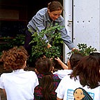 PHOTO: instructor handing out plants
