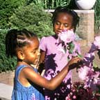 PHOTO: examining flowers