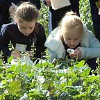 PHOTO: girls tagging plants