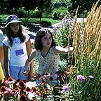PHOTO: checking out ornamental grasses