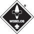 Webelos Patch
