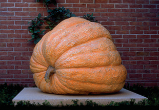 SCULPTURE: Pumpkin