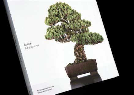 Bonsai: A Patient Art