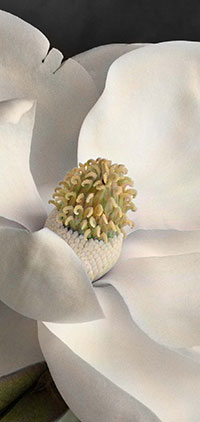 PHOTO: Sculpture