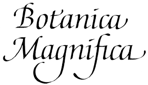 Botanica Magnifica