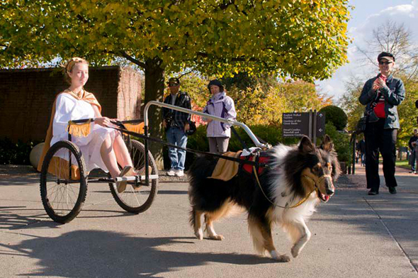 PHOTO: Carrie White of Evanston and Rollie