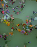 PHOTO: papermaking with flowers