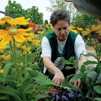 PHOTO: planning your garden
