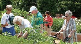 PHOTO: outdoors in the garden