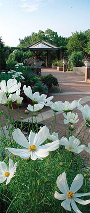 PHOTO: The Buehler Enabling Garden in midsummer bloom
