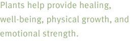 Plants help provide healing, well-being, physical growth, and emotional strength.