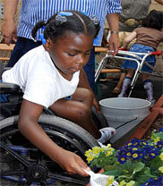 PHOTO: A girl in a wheelchair pots plants..