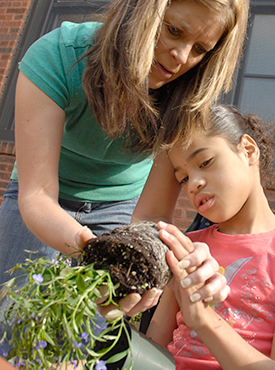 PHOTO: Potting plants at Christopher House.