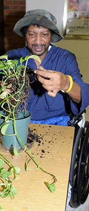 PHOTO: A veteran repotting plants.