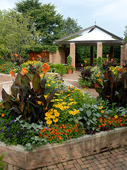 PHOTO: The Buehler Enabling Garden in midsummer bloom