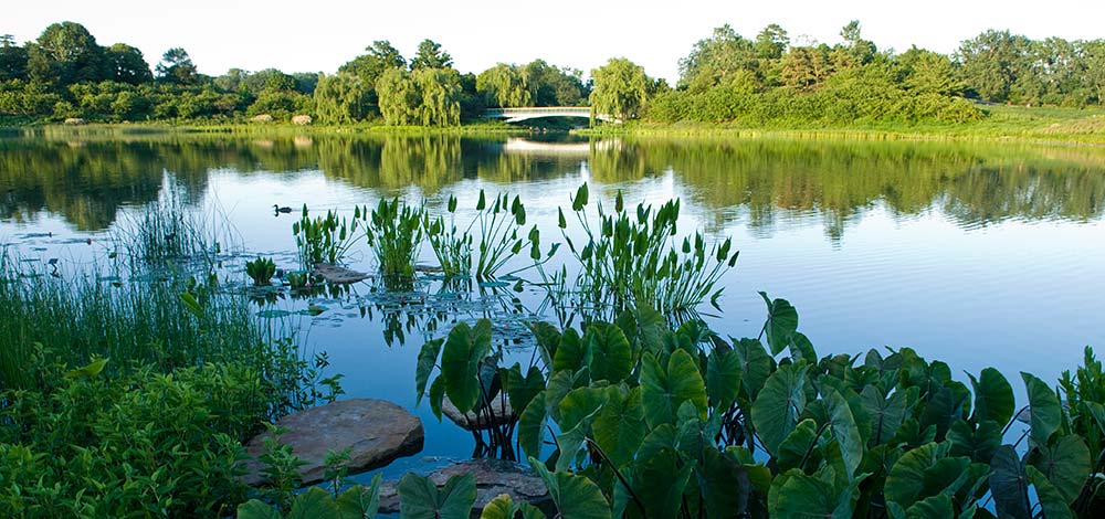 Chicago Botanic Garden