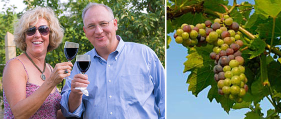 PHOTO: Wines & Vines