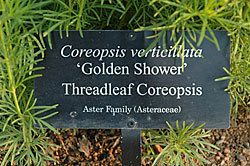 PHOTO: identifying taxa sign