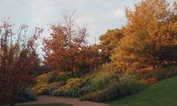 Autumn Garden Walk