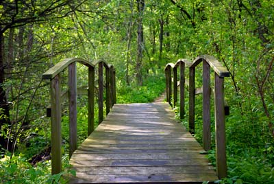 PHOTO: McDonald Woods bridge