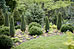 PHOTO: dwarf conifer garden