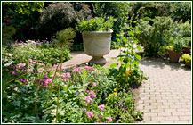PHOTO: the cottage garden