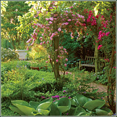 PHOTO: the Courtyard Garden