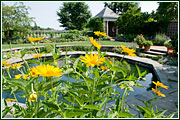 PHOTO: vista garden