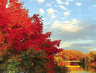PHOTO: The Great Basin in full color