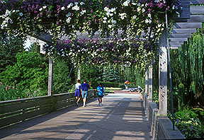 PHOTO: crescent