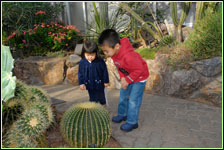 PHOTO: kids examine cactus in the Arid Greenhouse