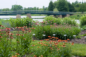 PHOTO: the Plant Evaluation Garden