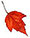 PHOTO: Fall