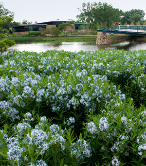 PHOTO: the Plant Science Center viewed from Evening Island