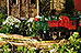 PHOTO: Wonderland Express