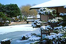 PHOTO: winter walk