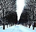 PHOTO: winter walk